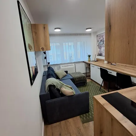 Mikrokawalerka W Scislym Centrum * Legnica