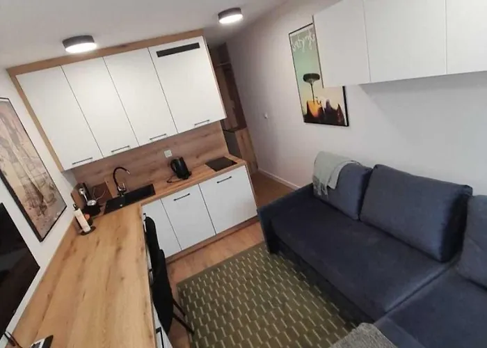 Mikrokawalerka W Scislym Centrum *