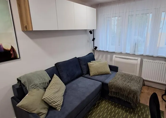 Mikrokawalerka W Scislym Centrum Apartmán Lehnice